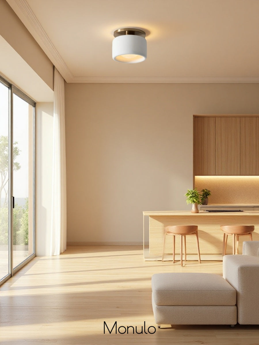 Porcelain Flush Mount Ceiling Light