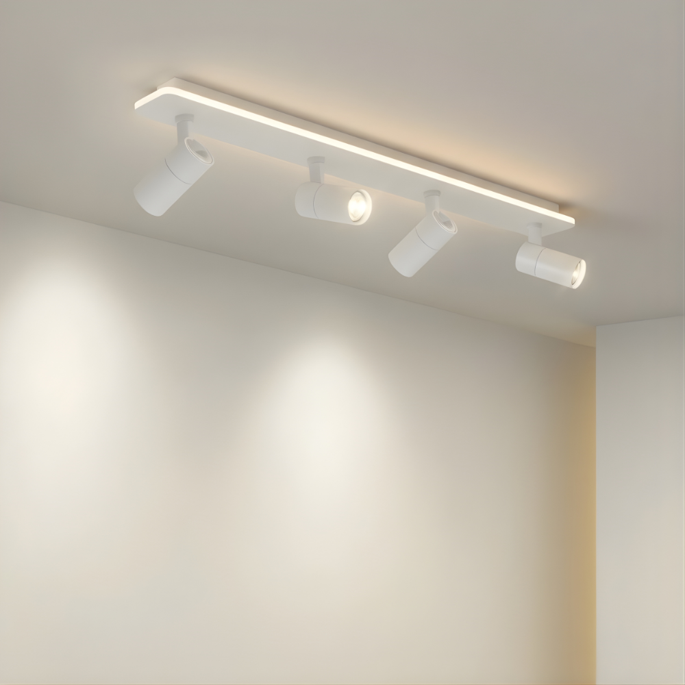 Multi-Spot Ceiling Light