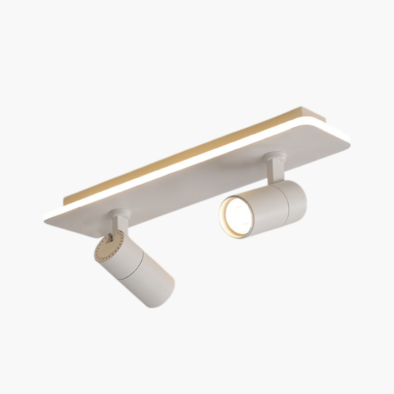 Multi-Spot Ceiling Light