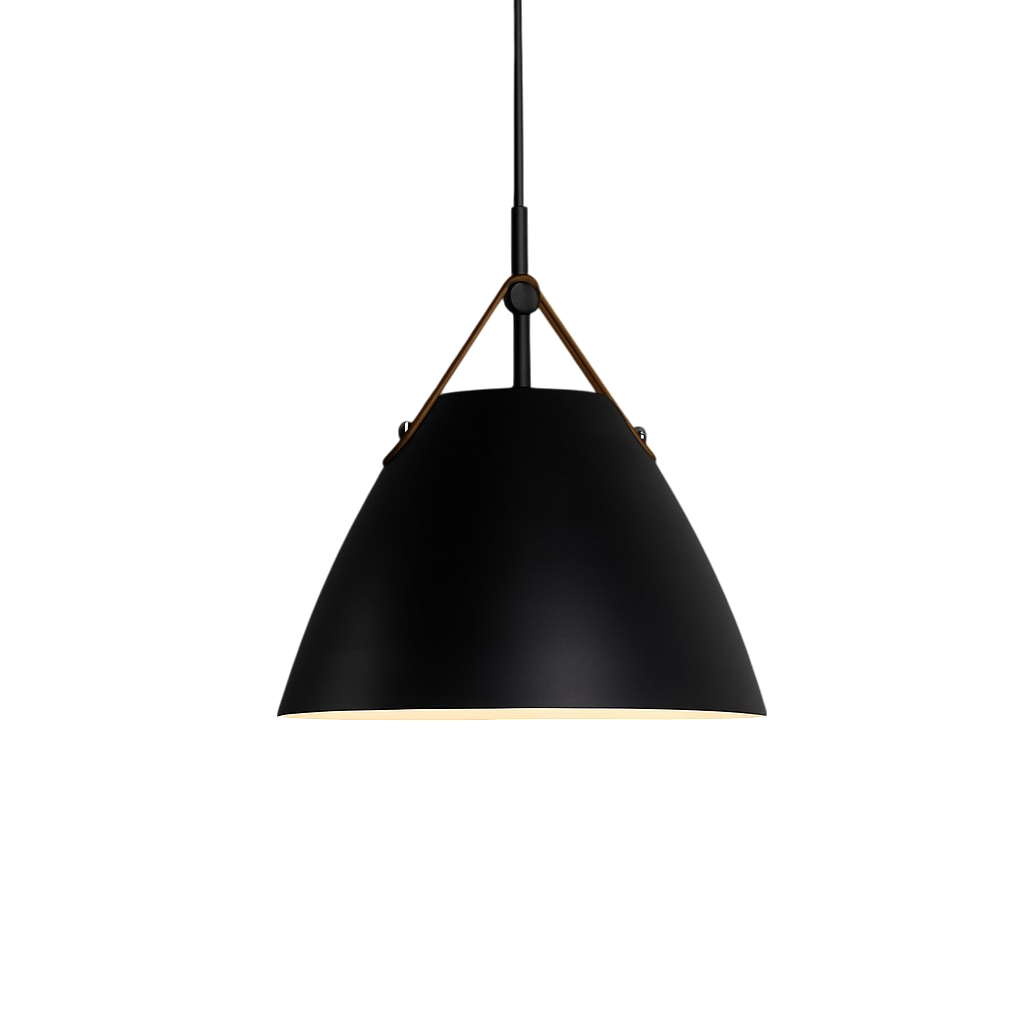 Modern Scandinavian Coloured Pendant Light