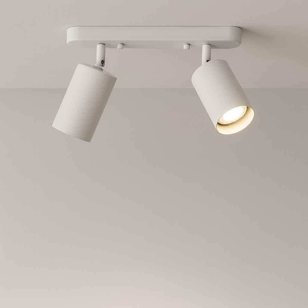 Adjustable Dual-Head Ceiling Spotlight