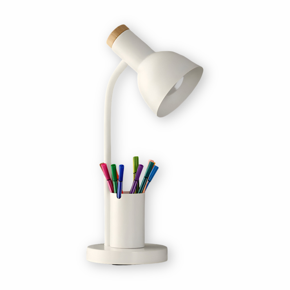 Desk lamp with storage base and flexible neck
