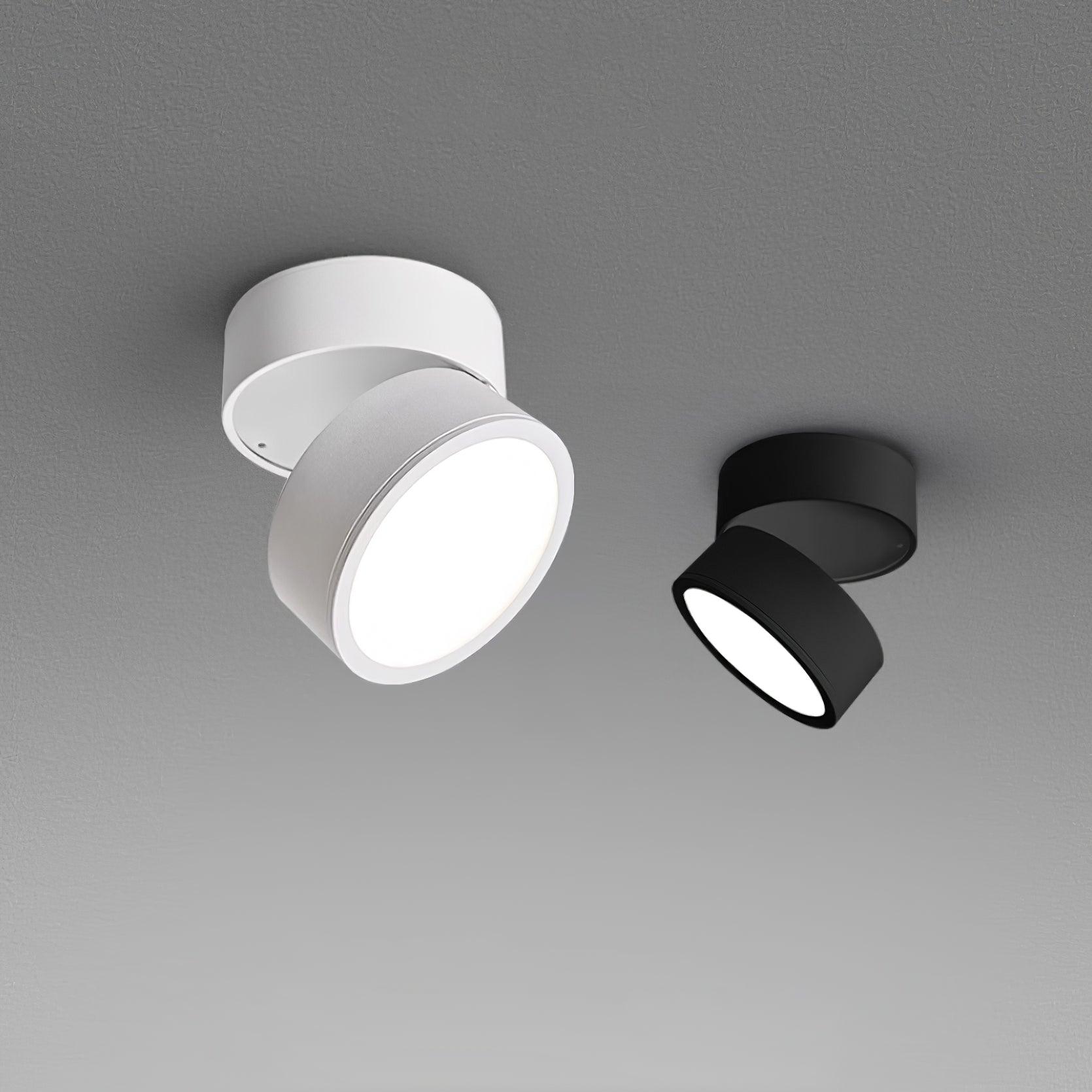 Sleek Surface Ceiling Light