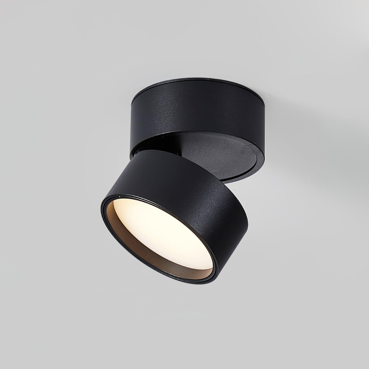 Sleek Surface Ceiling Light
