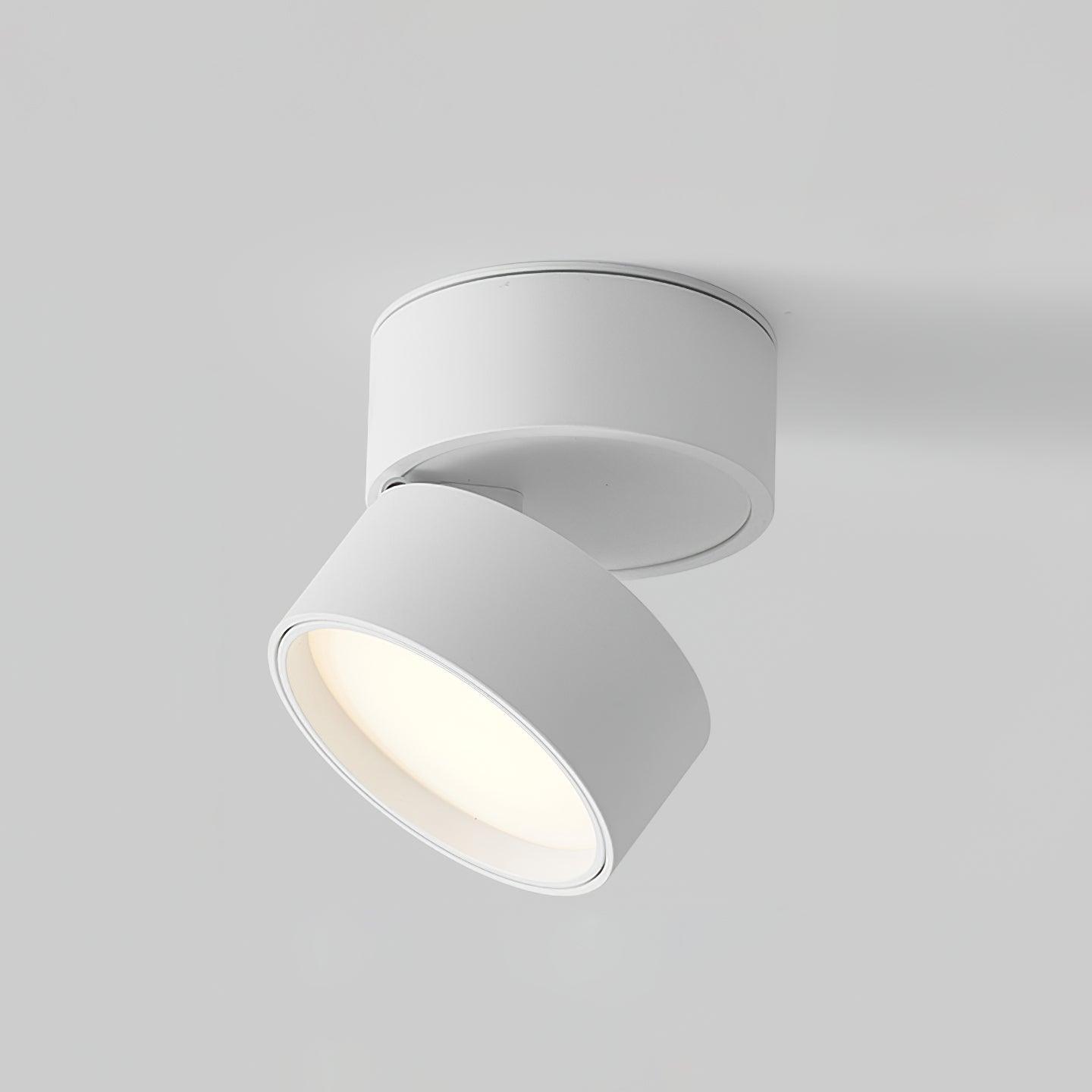 Sleek Surface Ceiling Light