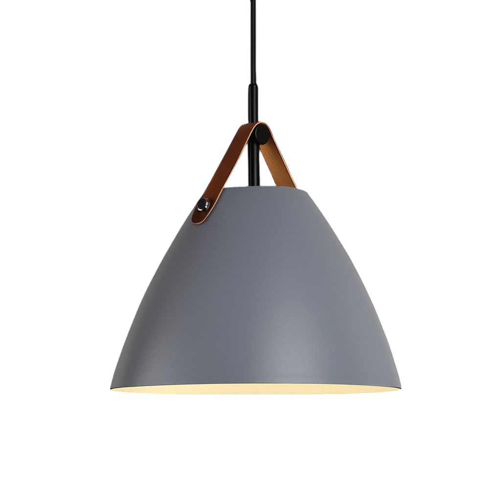 Modern Scandinavian Coloured Pendant Light