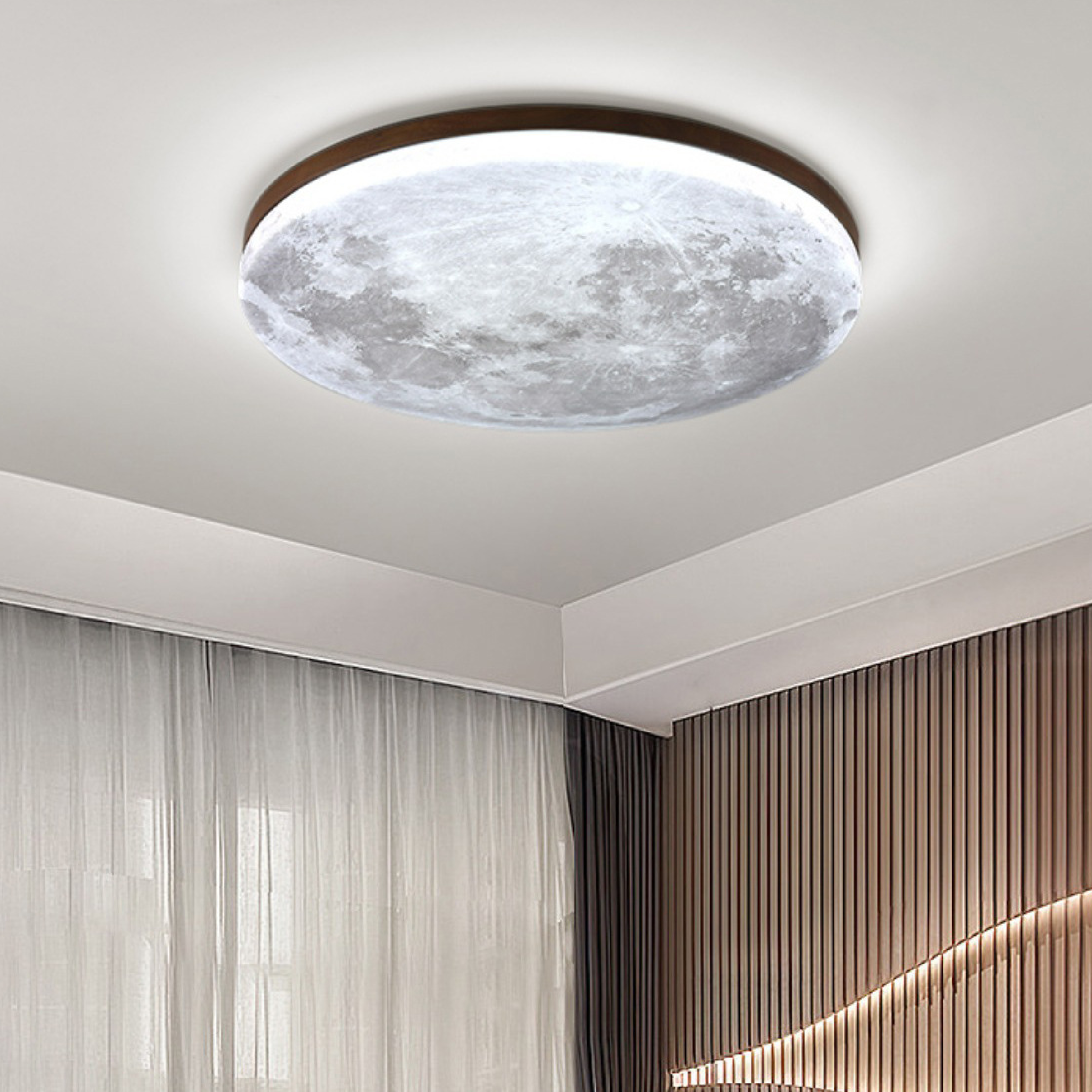 Modern Moon Ceiling Light