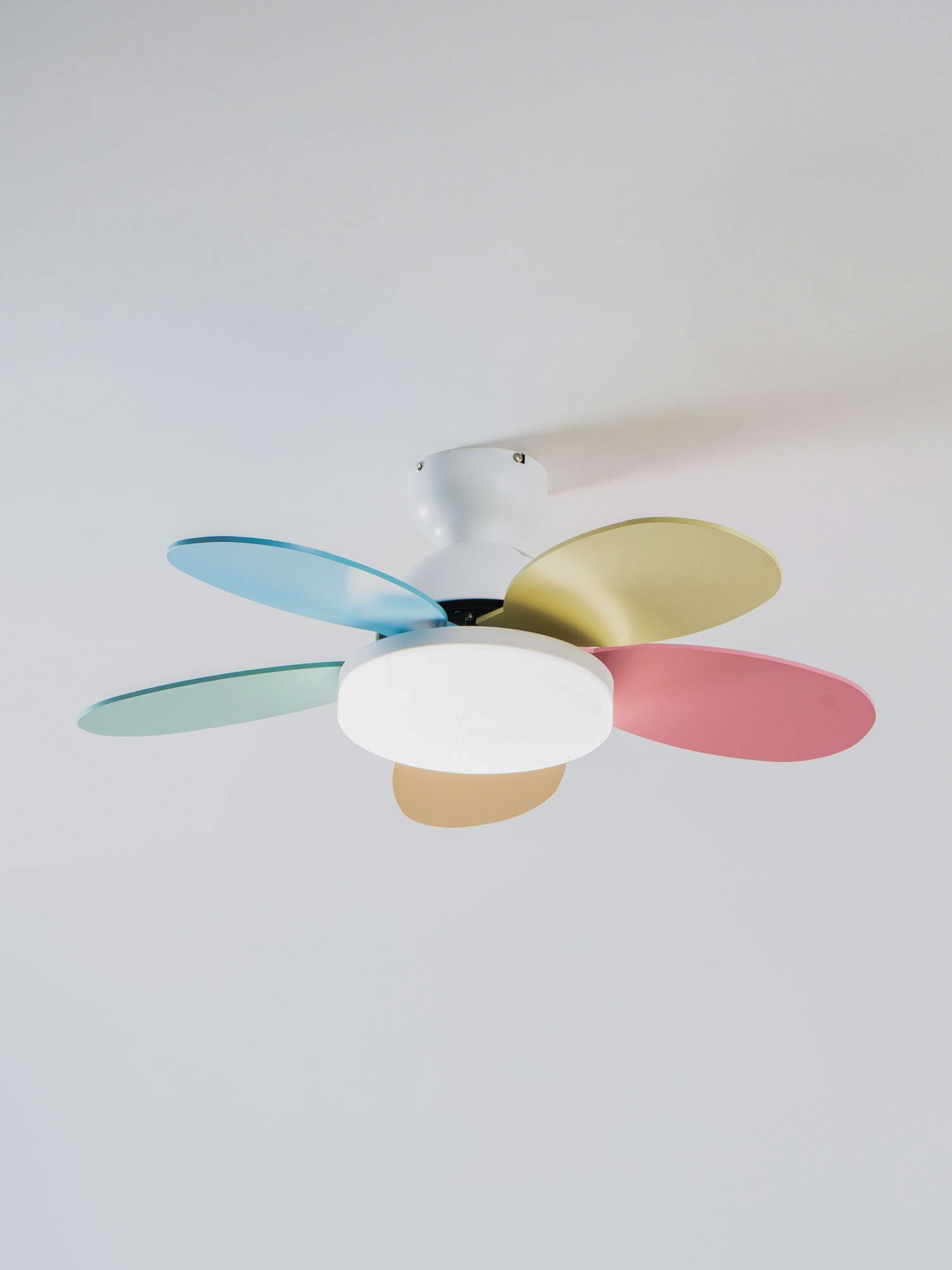 Modern Ceiling Fan LED Light with Multicolour Blades
