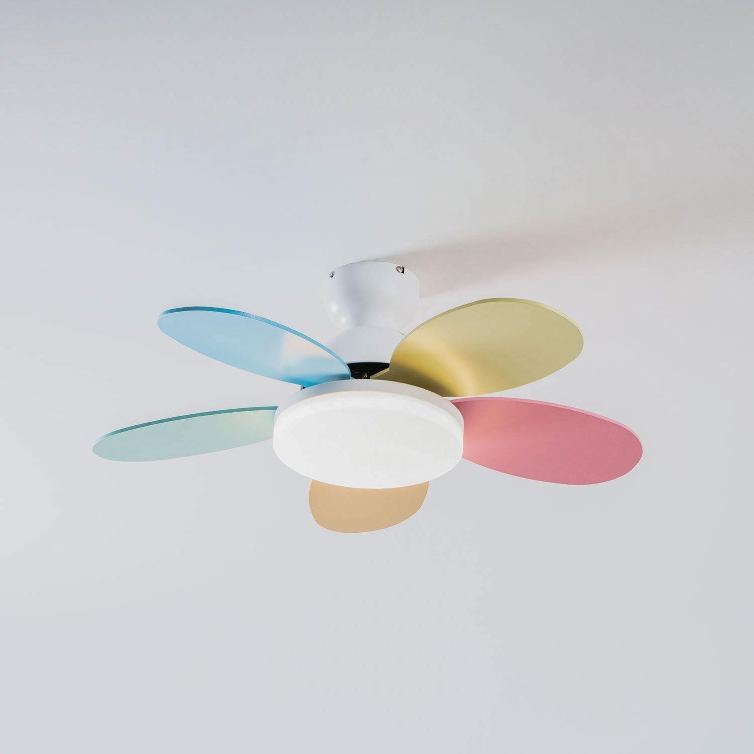 Modern Ceiling Fan LED Light with Multicolour Blades