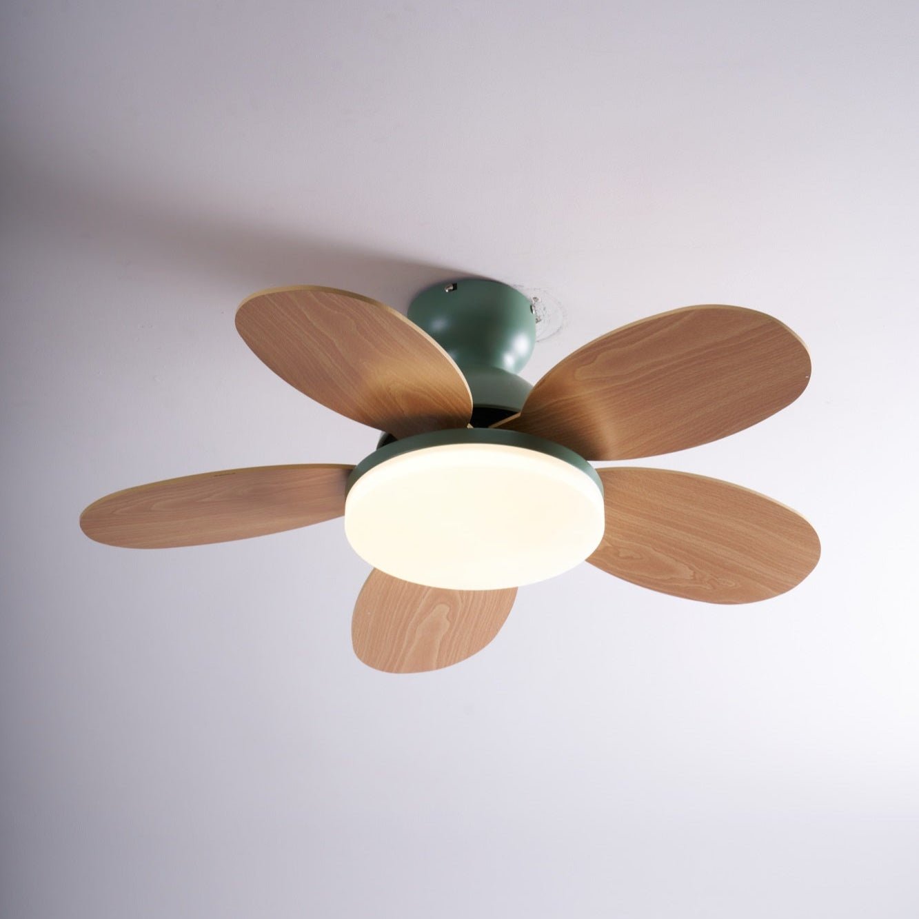 Modern Ceiling Fan LED Light with Multicolour Blades