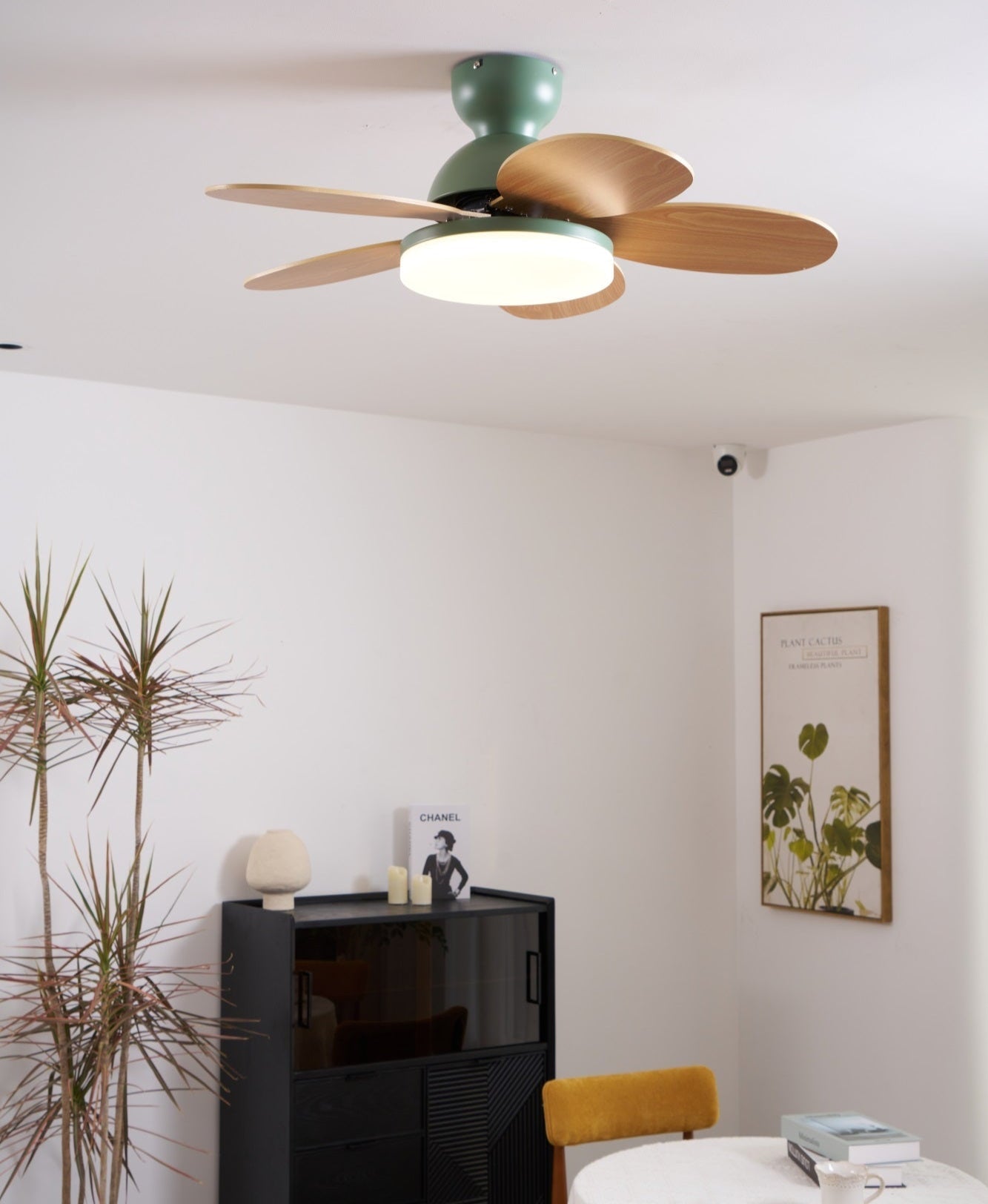 Modern Ceiling Fan LED Light with Multicolour Blades