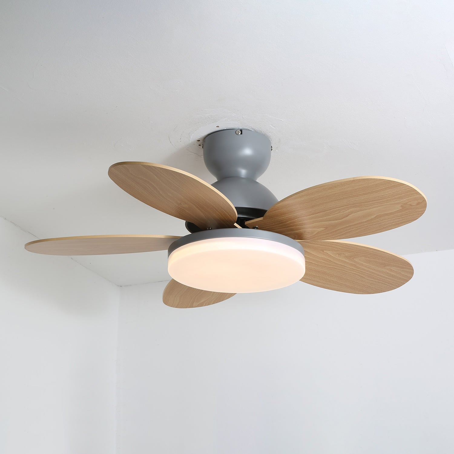 Modern Ceiling Fan LED Light with Multicolour Blades
