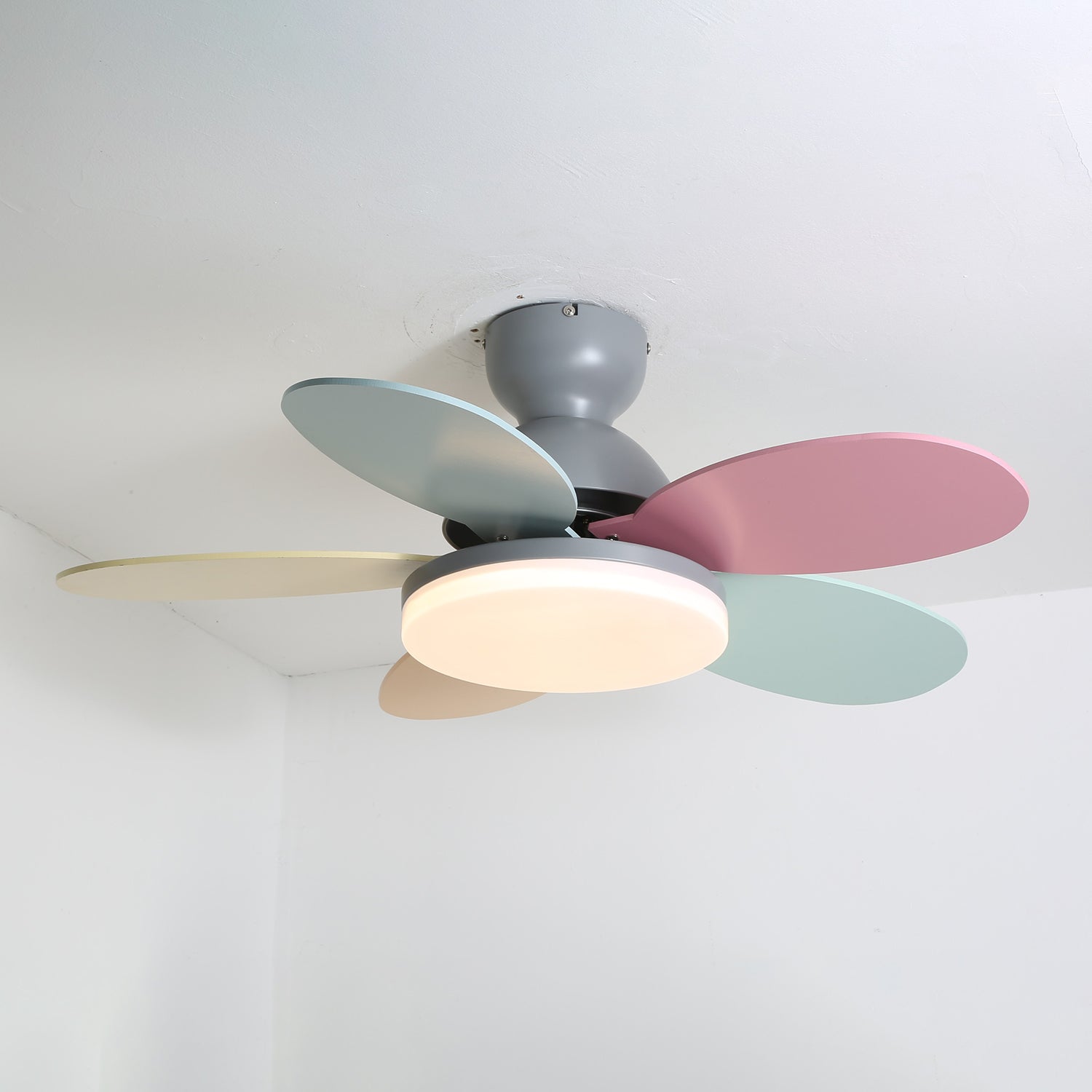 Modern Ceiling Fan LED Light with Multicolour Blades