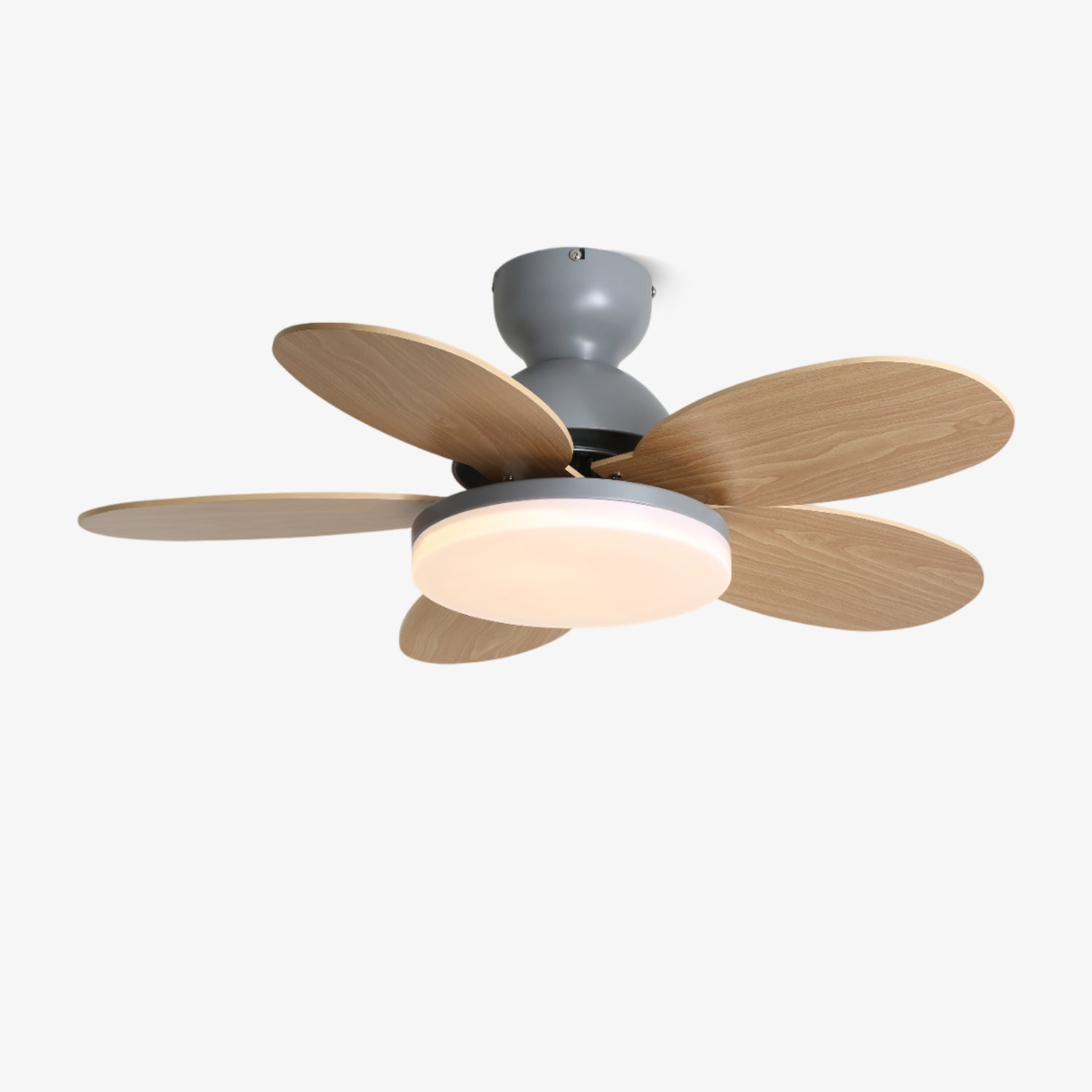 Modern Ceiling Fan LED Light with Multicolour Blades
