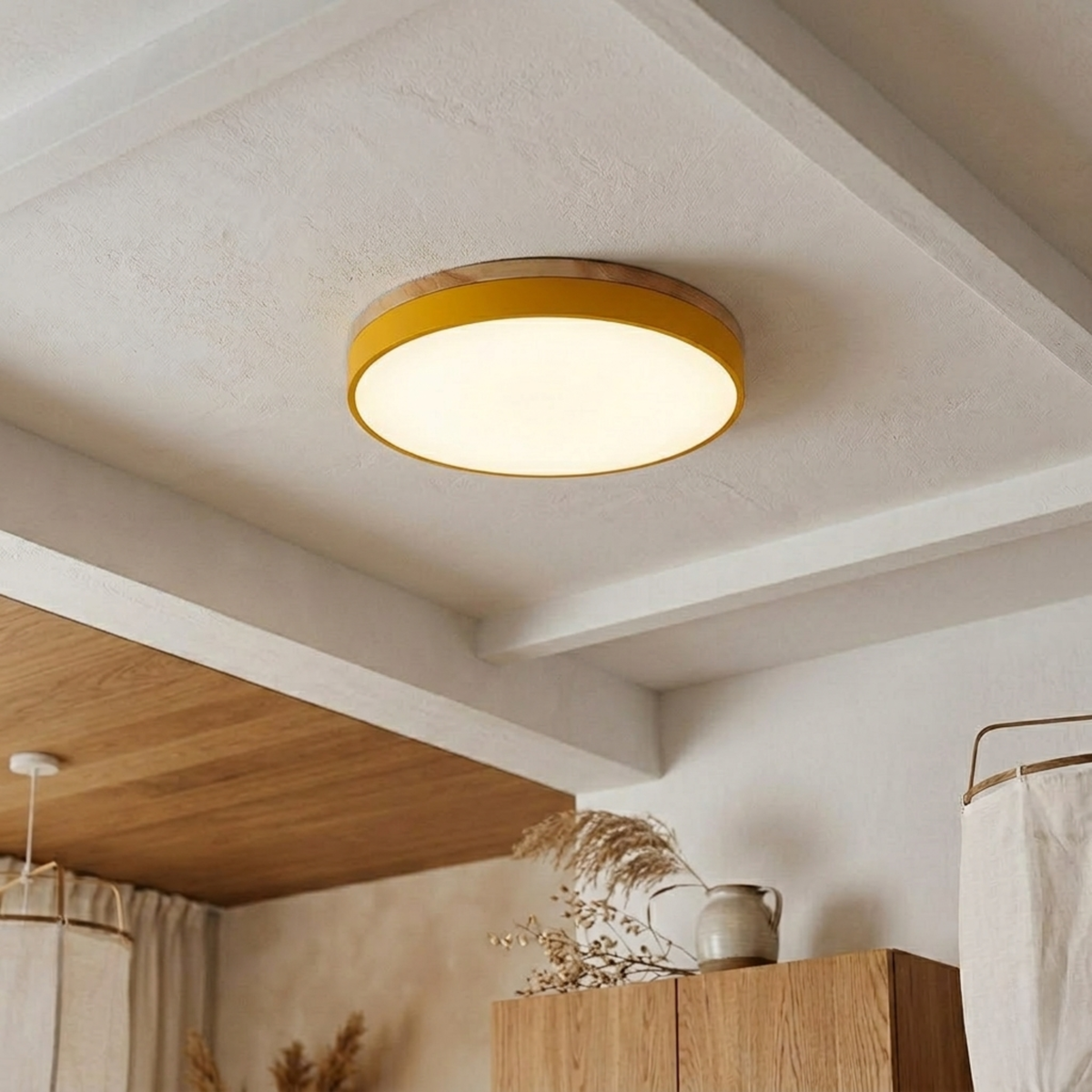 Round Disc Ceiling Lights for Living Room