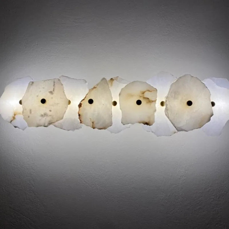 Decorative Organic Shape LED Wall Sconce Modern Lighting