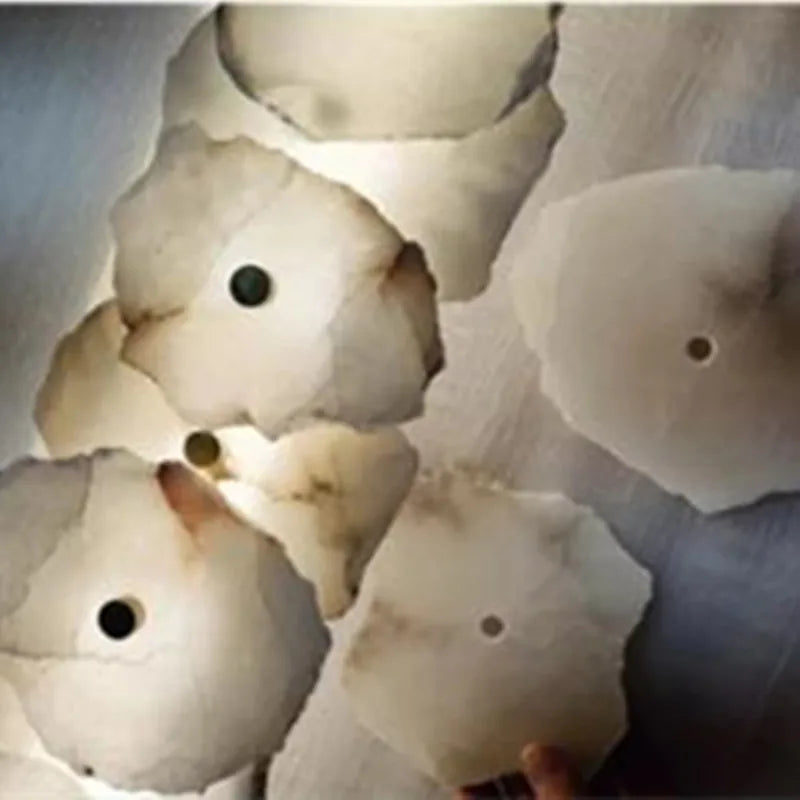 Decorative Organic Shape LED Wall Sconce Modern Lighting