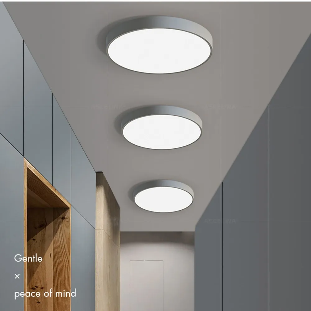 Round LED Ceiling Light with Metal Frame