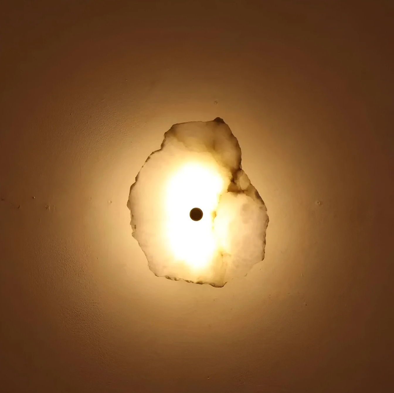 Decorative Organic Shape LED Wall Sconce Modern Lighting