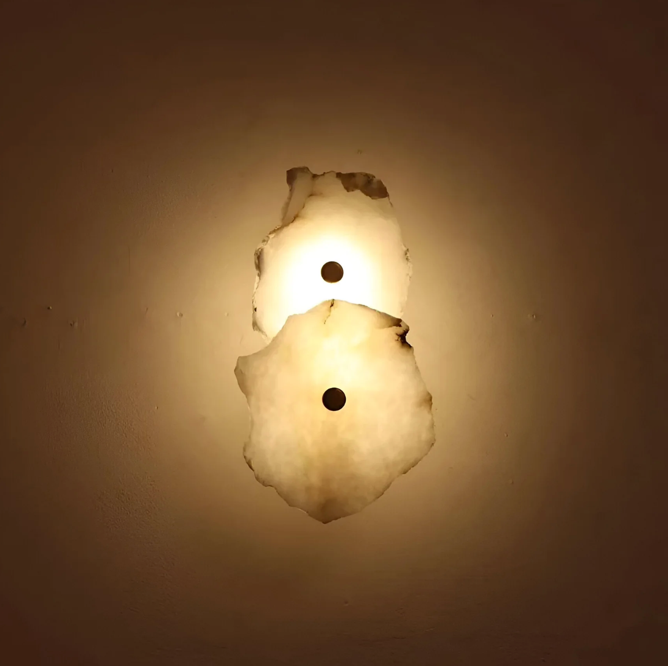Decorative Organic Shape LED Wall Sconce Modern Lighting