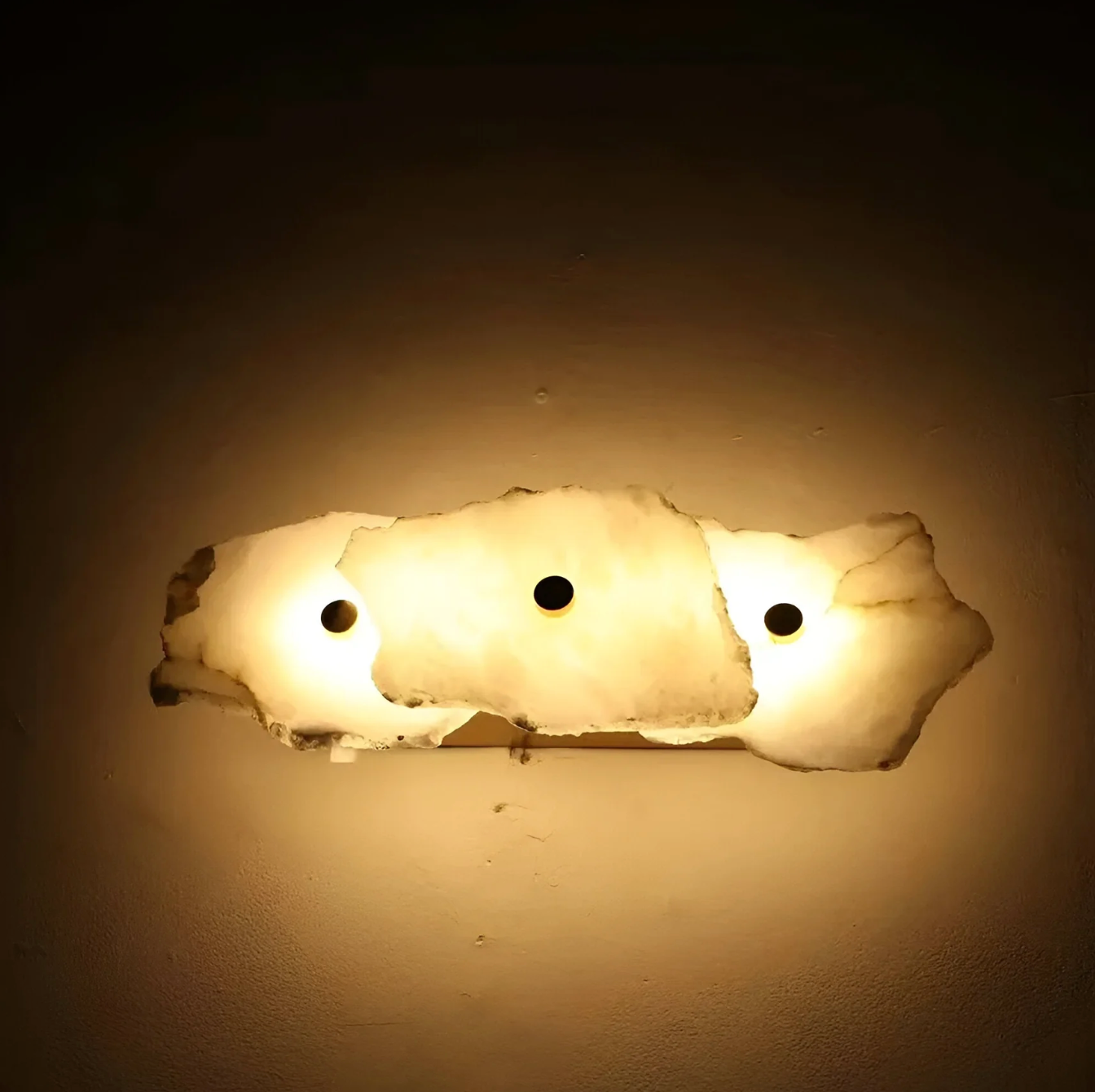 Decorative Organic Shape LED Wall Sconce Modern Lighting