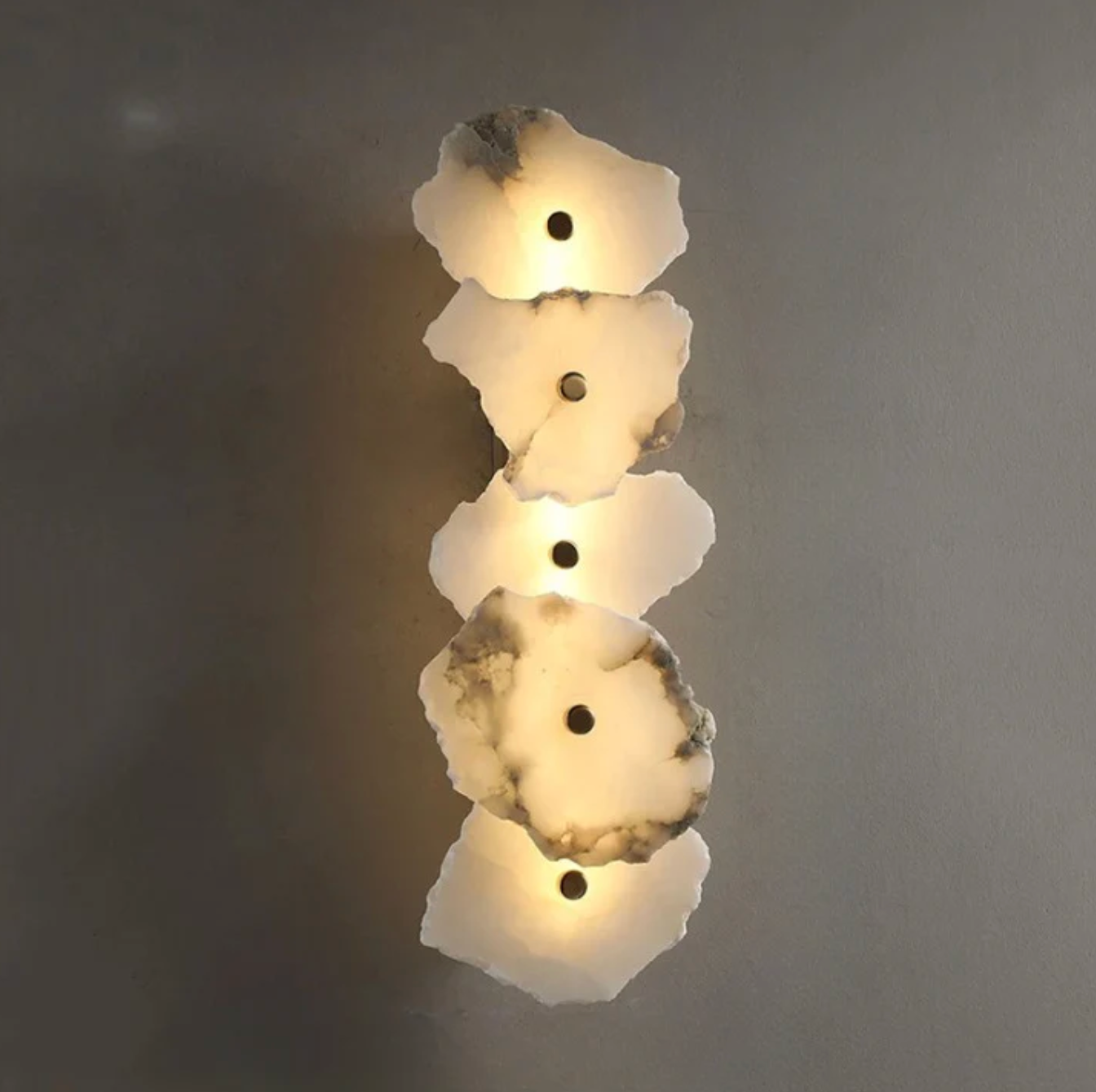 Decorative Organic Shape LED Wall Sconce Modern Lighting