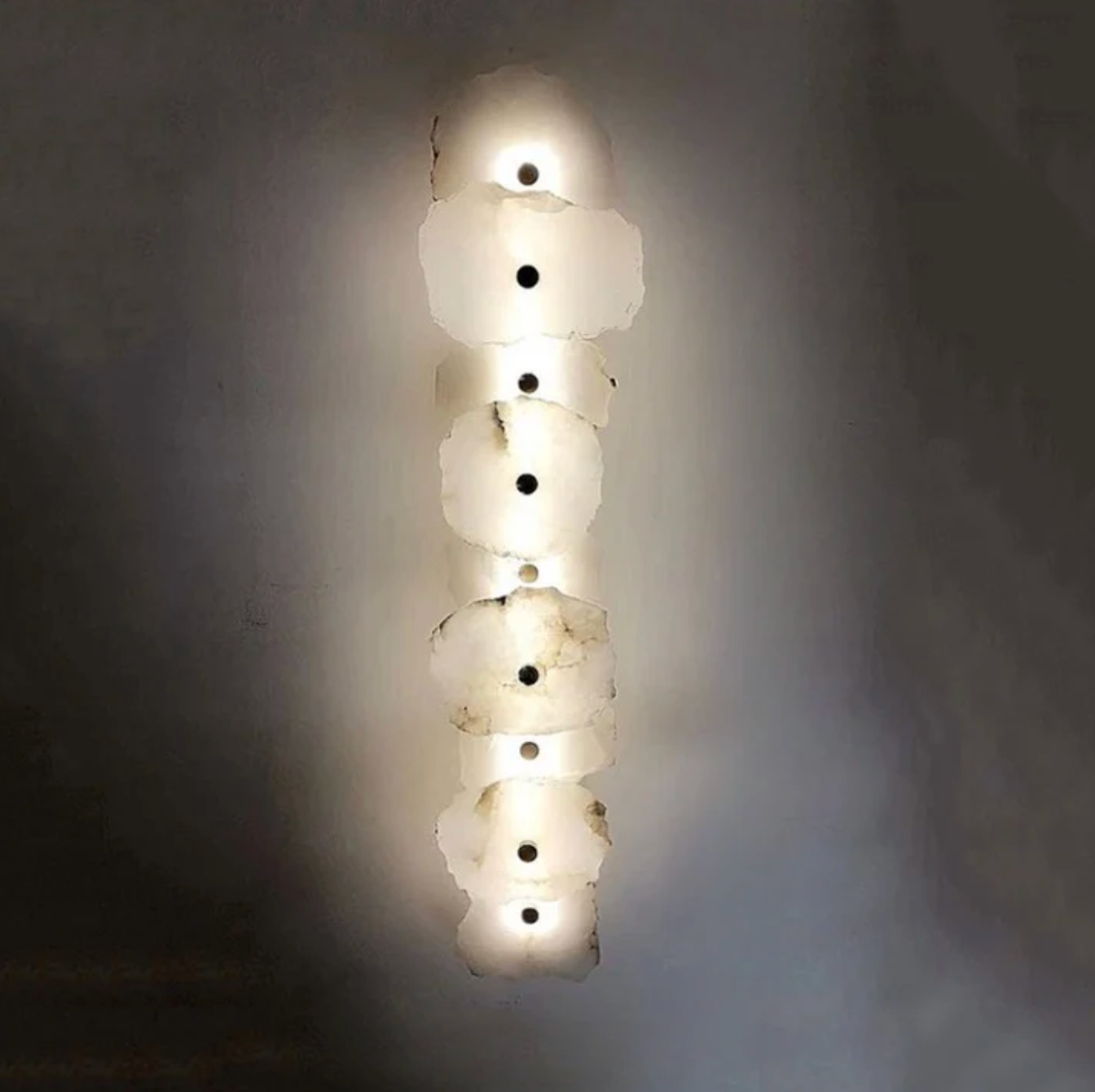 Decorative Organic Shape LED Wall Sconce Modern Lighting