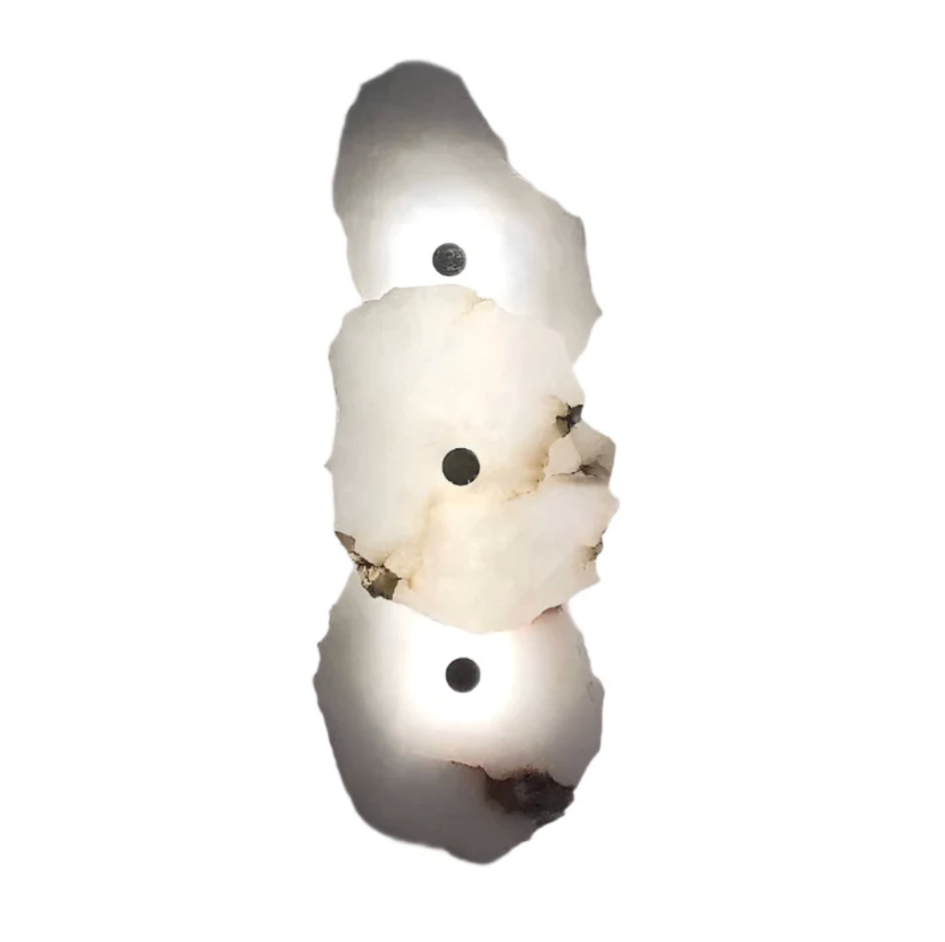 Decorative Organic Shape LED Wall Sconce Modern Lighting