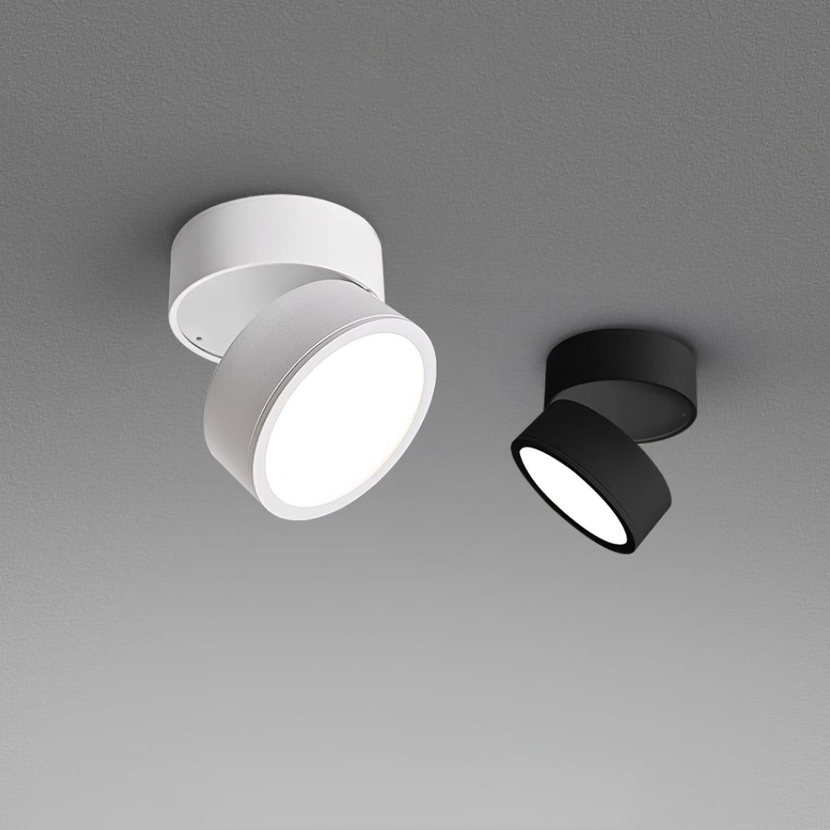 Adjustable Ceiling Lamp with Round Spotlight and Metal Mount