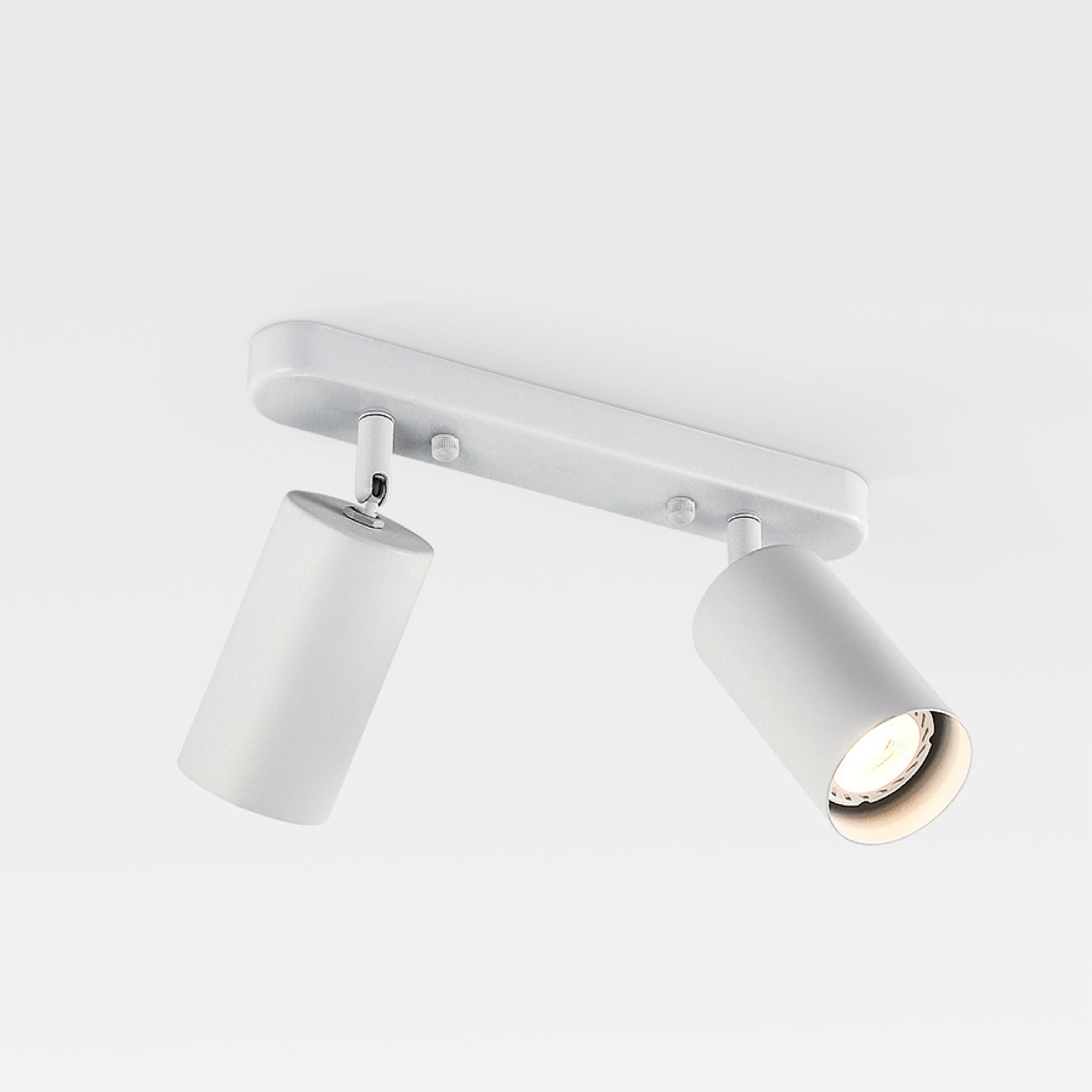 Adjustable Dual-Head Ceiling Spotlight