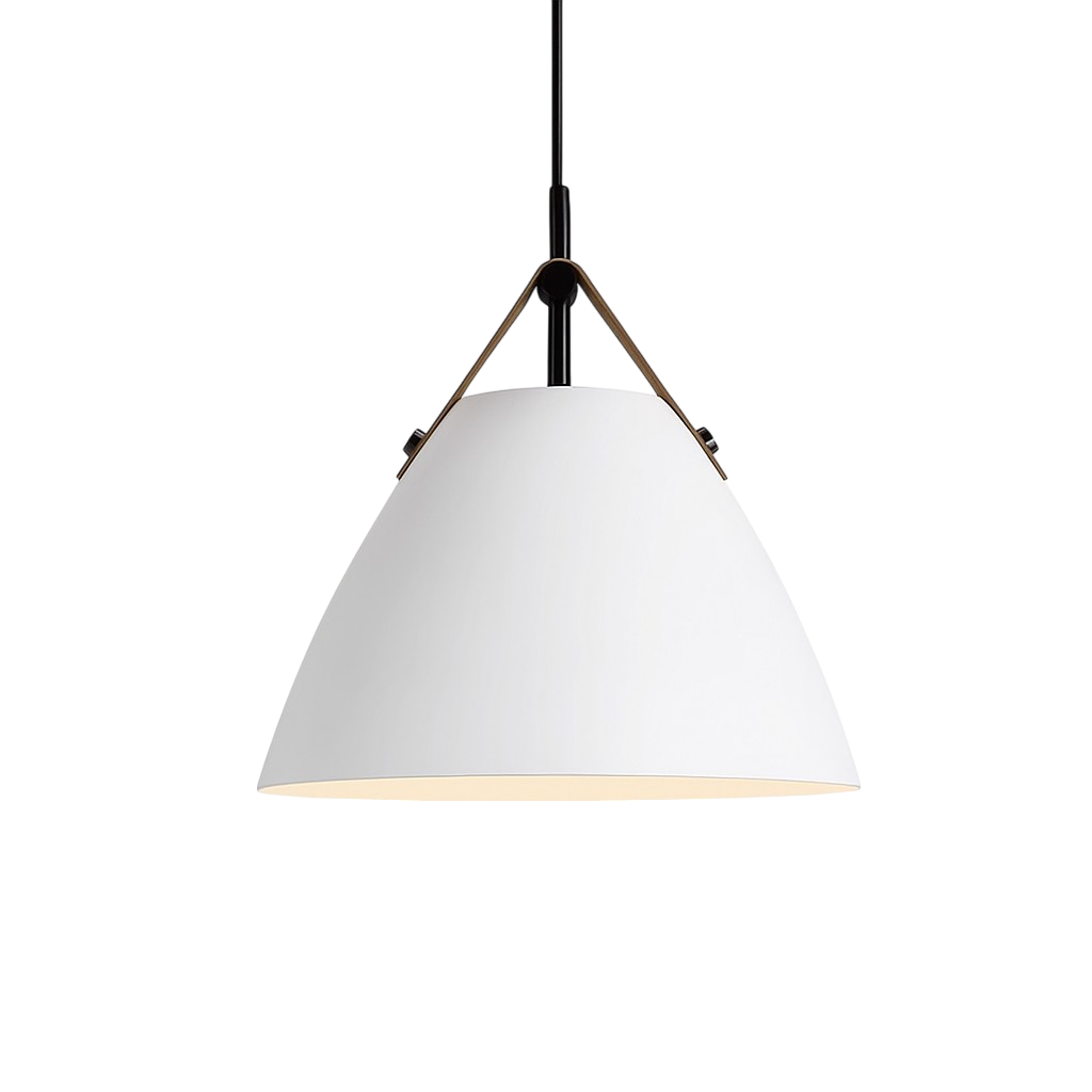 Modern Scandinavian Coloured Pendant Light