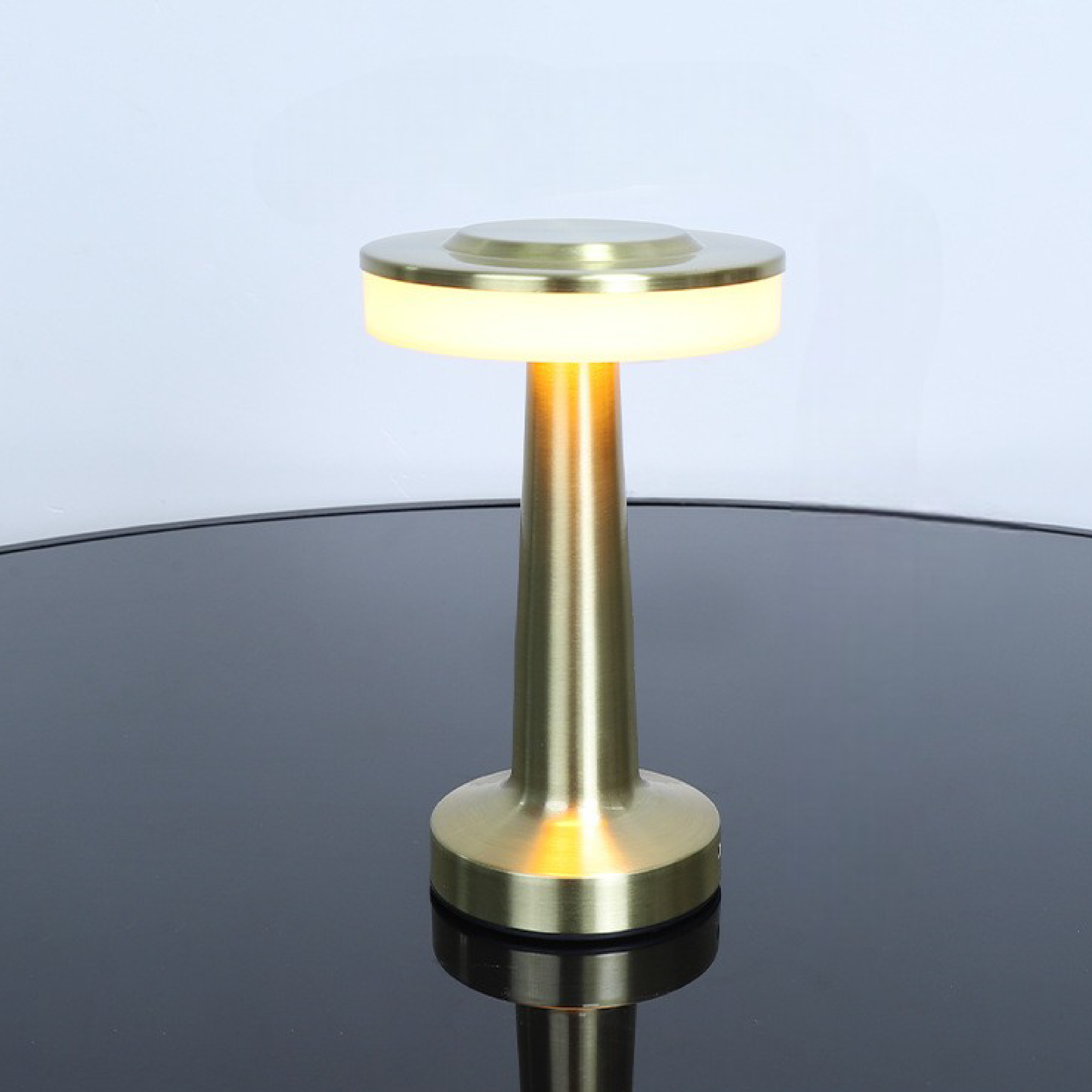 Modern Metal LED Table Lamp