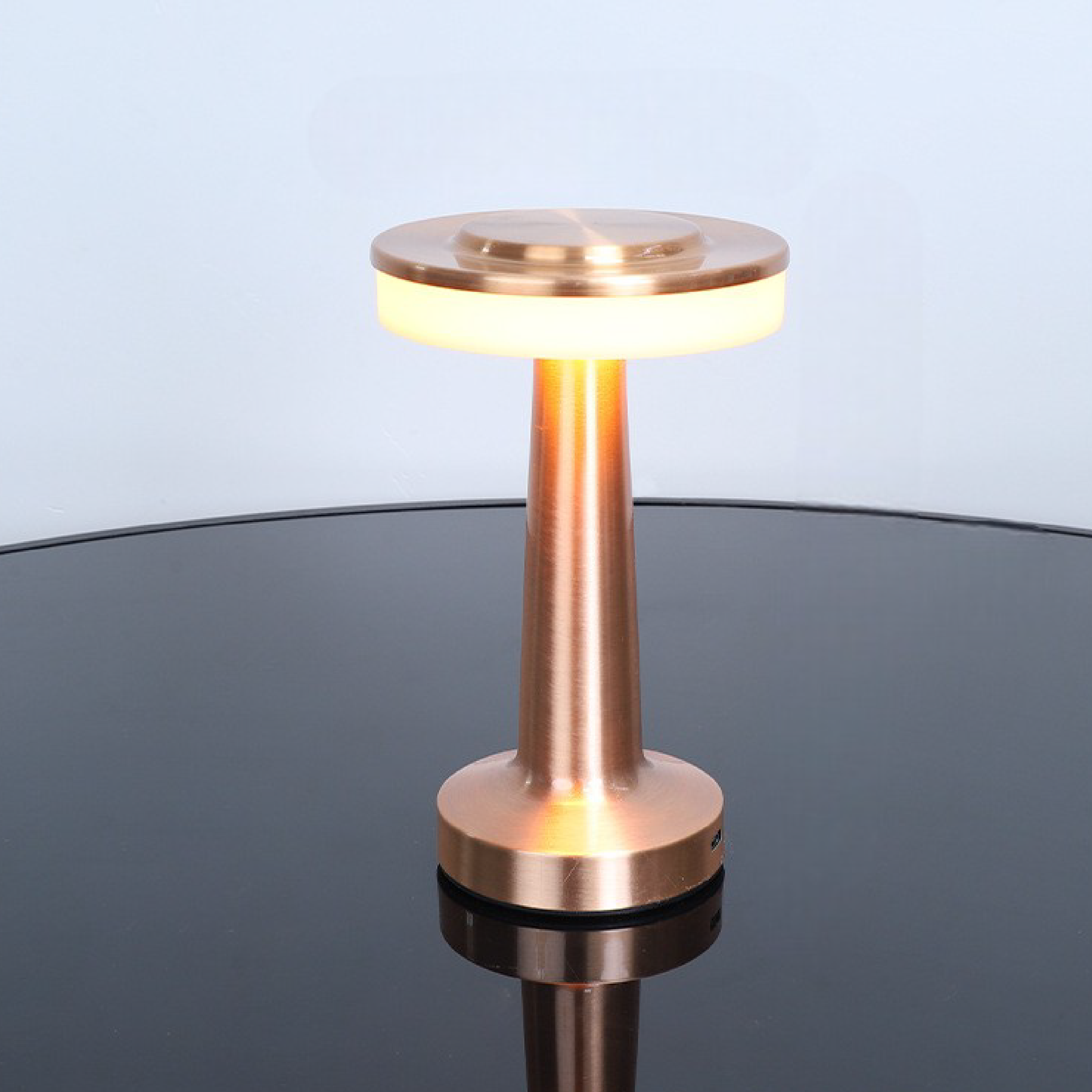 Modern Metal LED Table Lamp