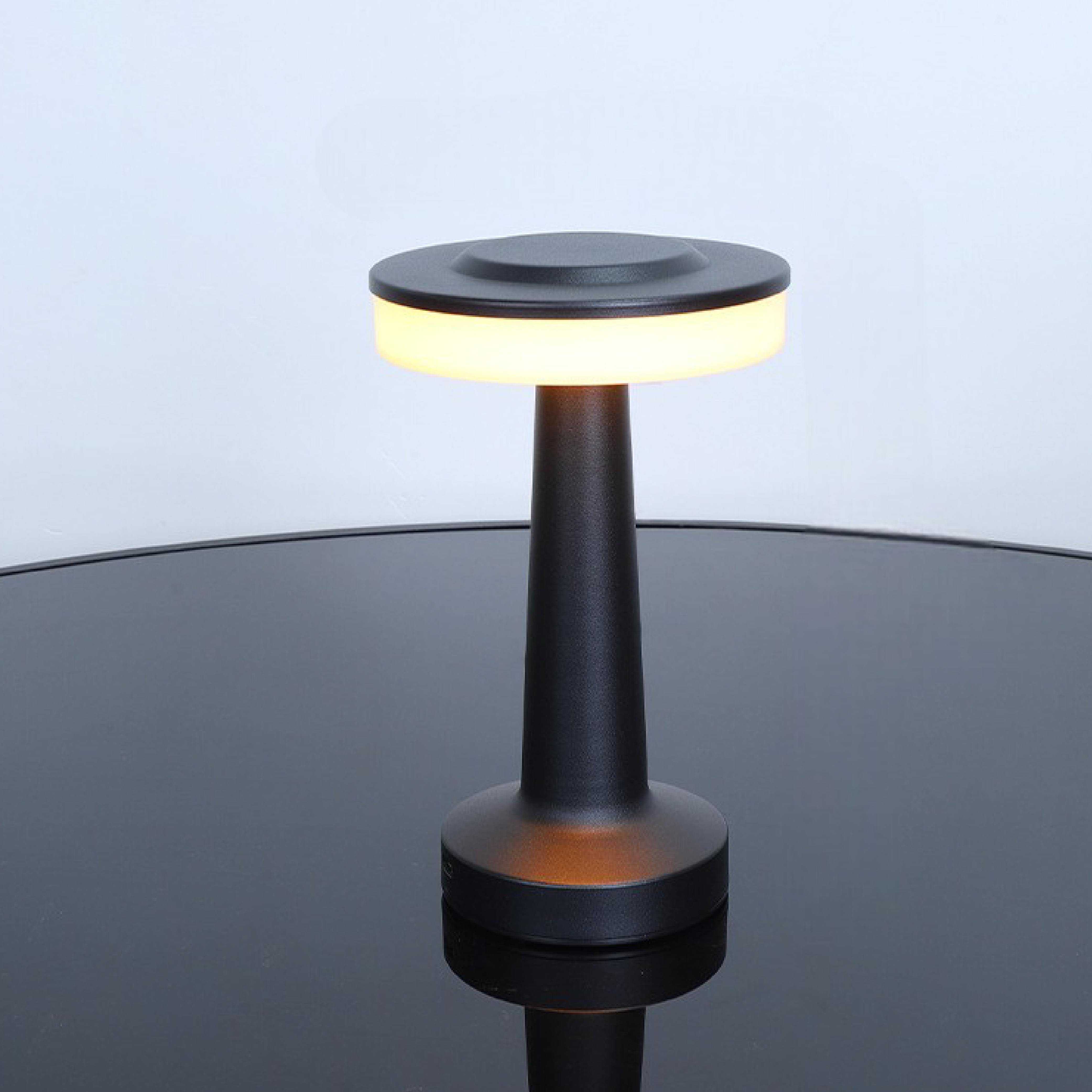 Modern Metal LED Table Lamp