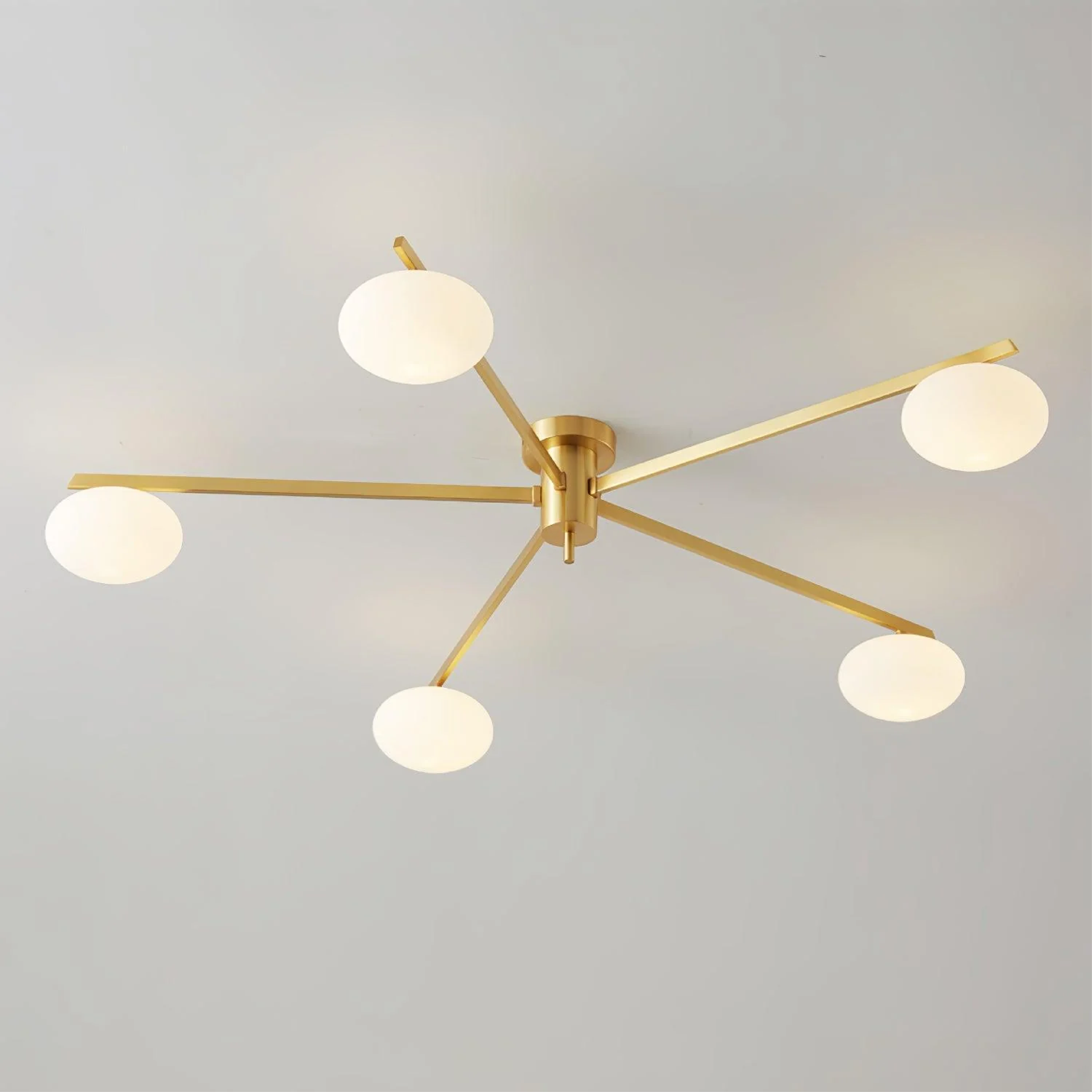 Modern Multi-Arm Ceiling Light