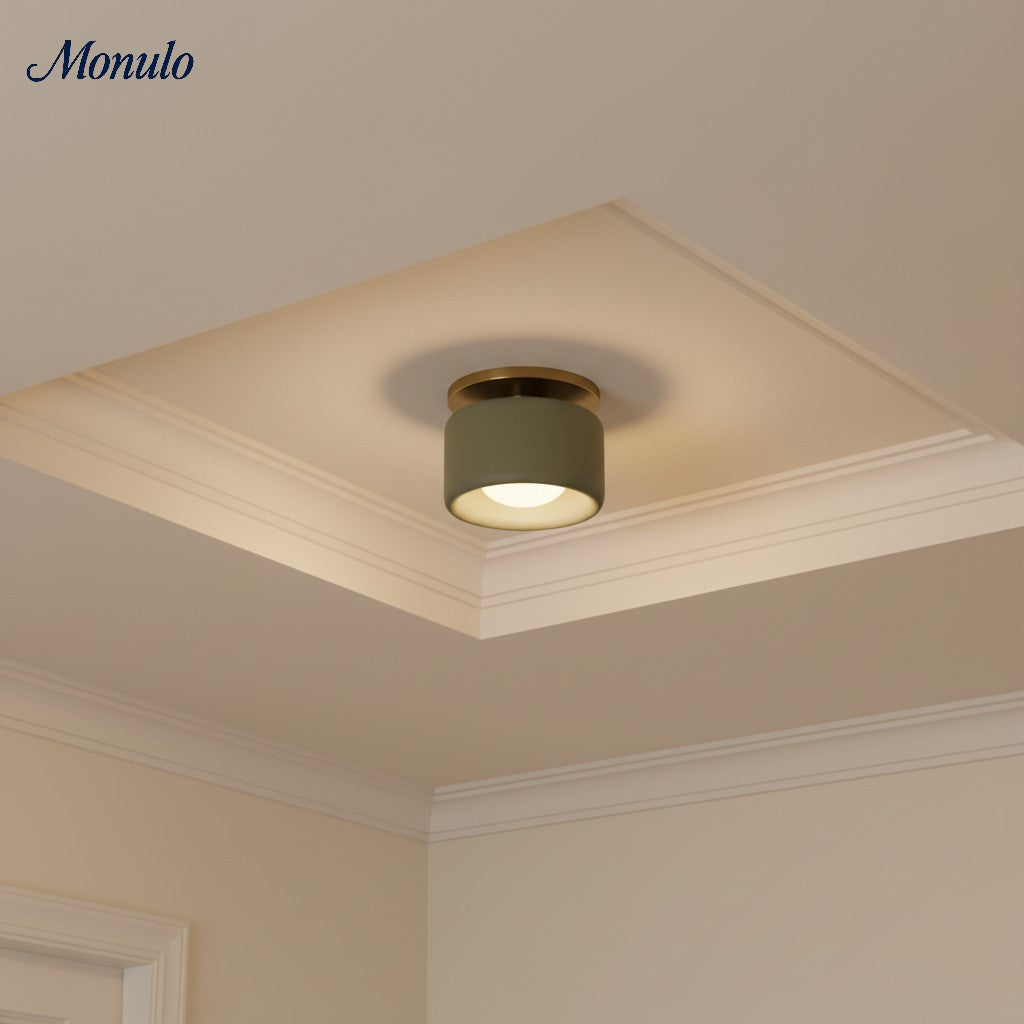 Porcelain Flush Mount Ceiling Light