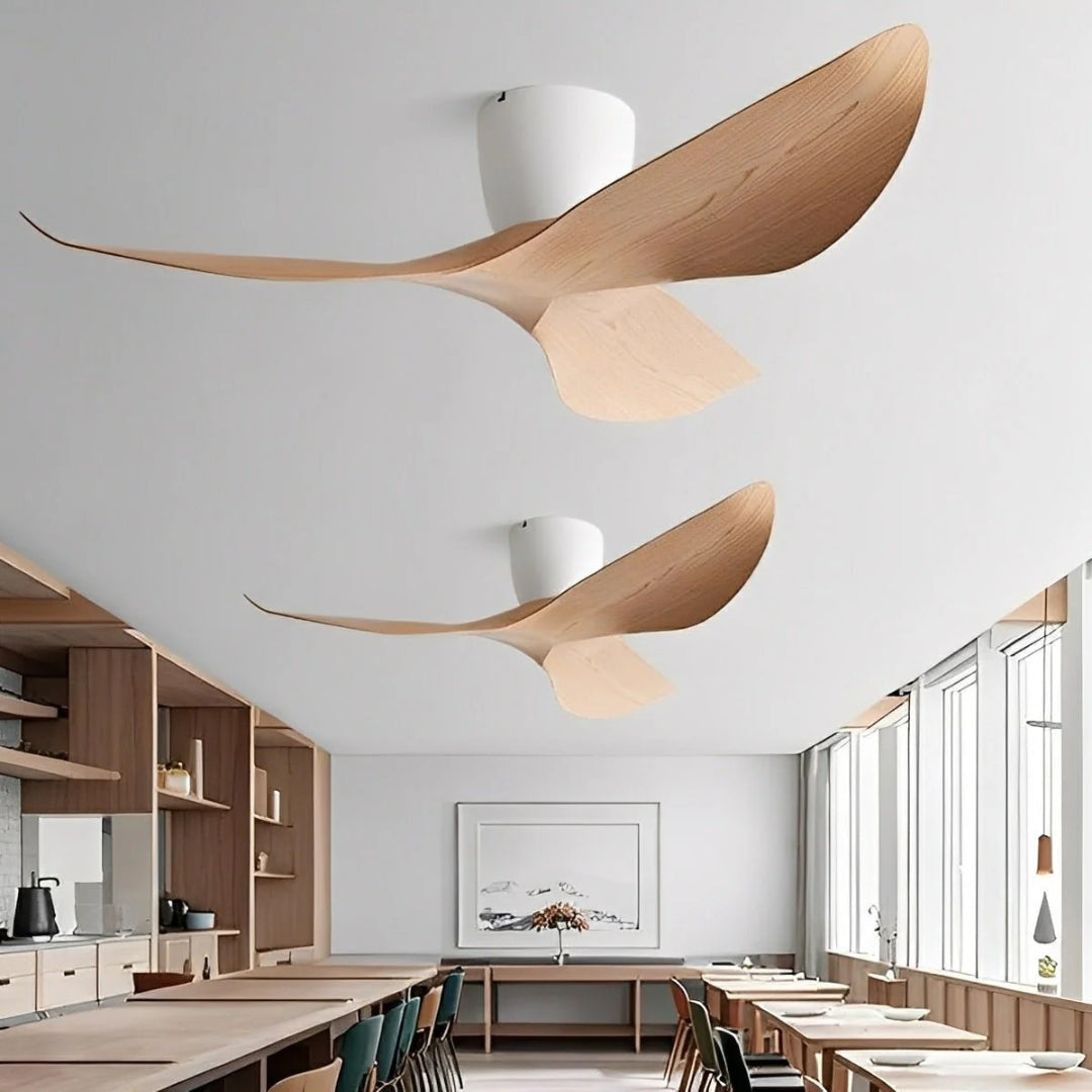Minimalist Ceiling Fan with Quiet DC Motor 5