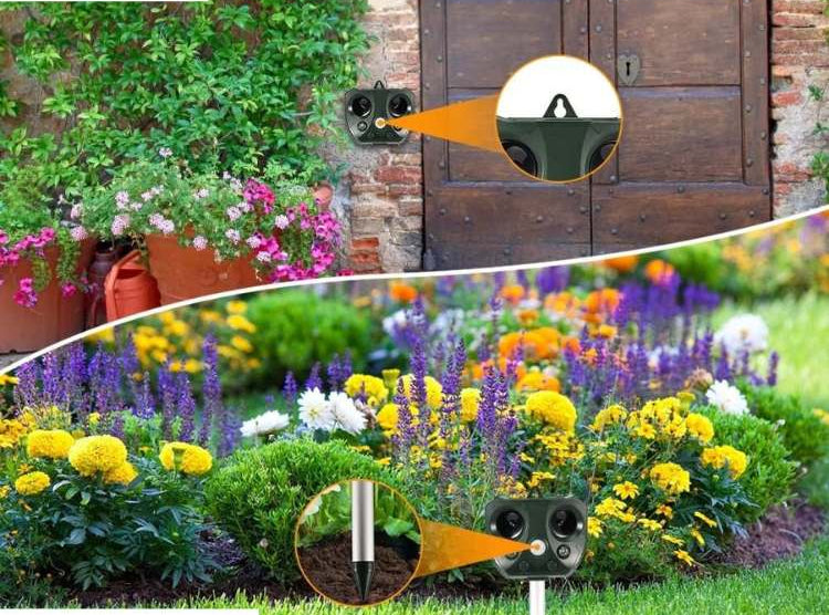 Outdoor Ultrasonic Pest Repeller with Motion Sensor