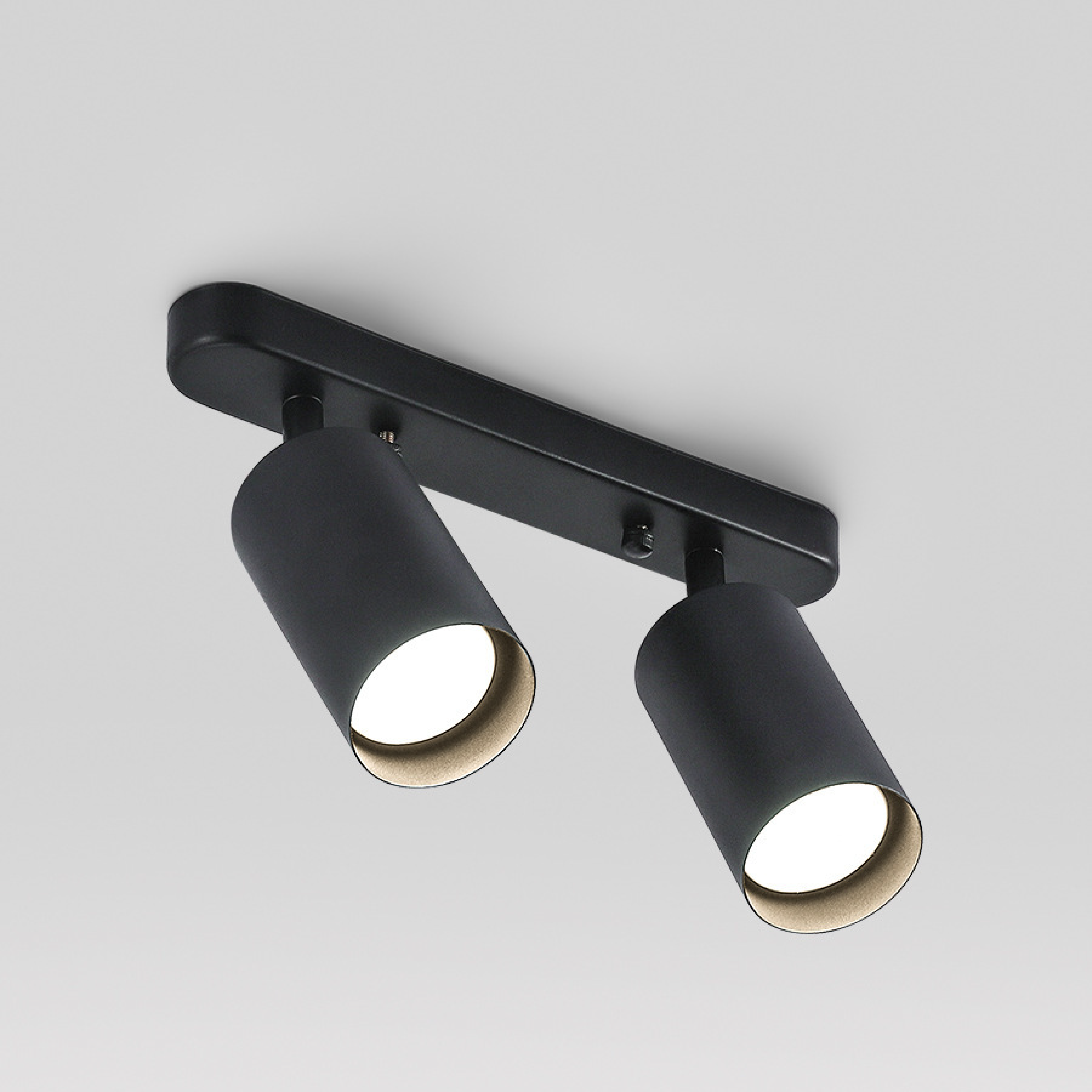 Adjustable Dual-Head Ceiling Spotlight