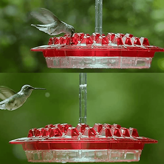 Buiten Hangende Kolibrievoeder met Mierenbeschermer Nectar Schotel