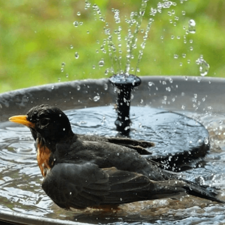 Zonne-energie Fonteinpomp met LED Lichten Buiten Waterfunctie