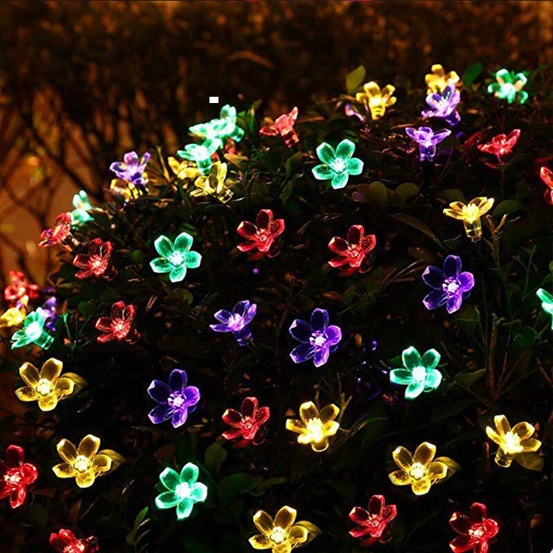 Zonne Bloem Stringverlichting Met Multikleurige LED