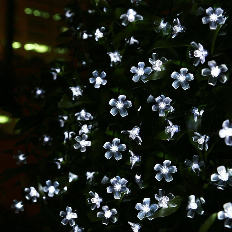 Zonne Bloem Stringverlichting Met Multikleurige LED