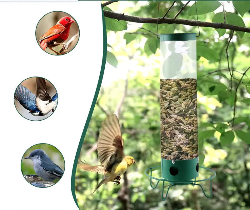 Hangende Vogelvoeder met Eekhoornbeschermer Zaadbuis Voeder