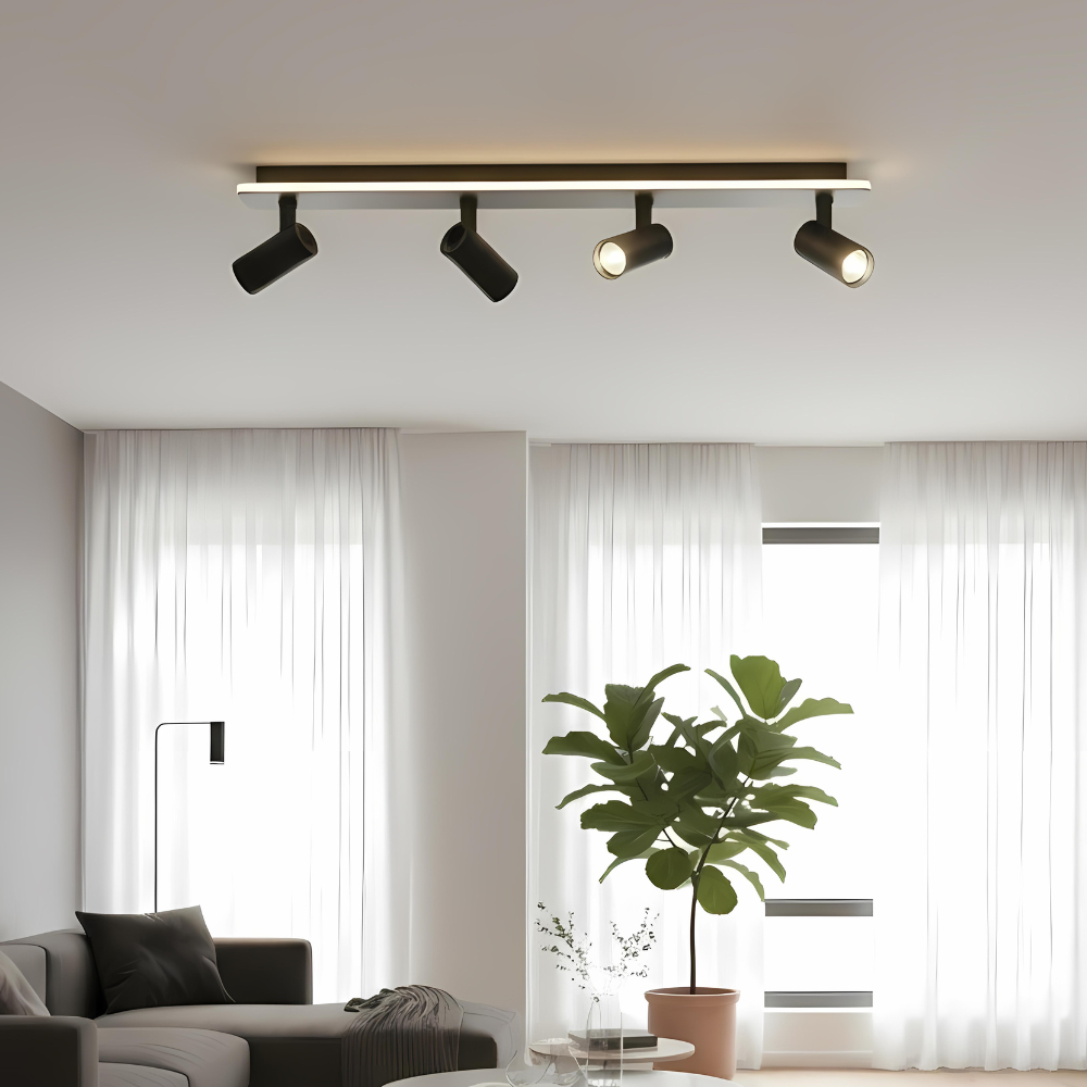Multi-Spot Ceiling Light