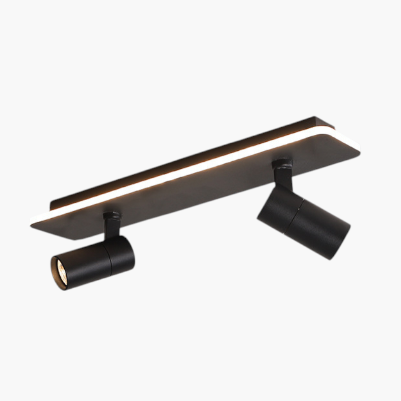 Multi-Spot Ceiling Light