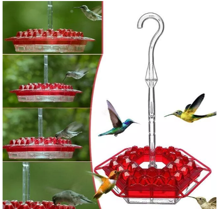Buiten Hangende Kolibrievoeder met Mierenbeschermer Nectar Schotel
