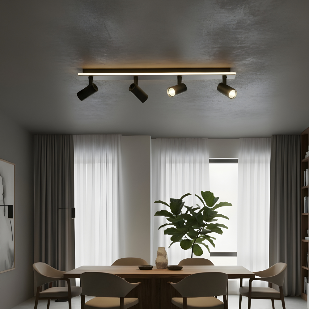 Multi-Spot Ceiling Light