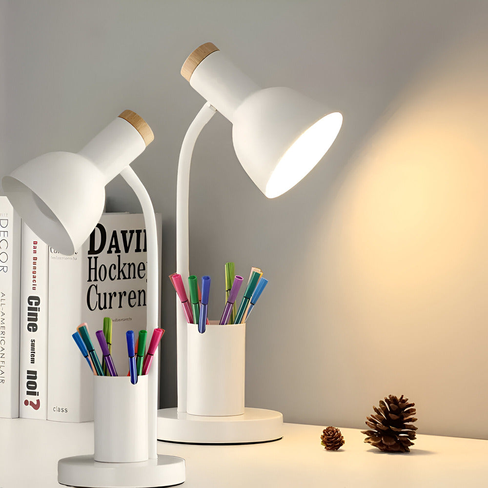 Desk lamp with storage base and flexible neck