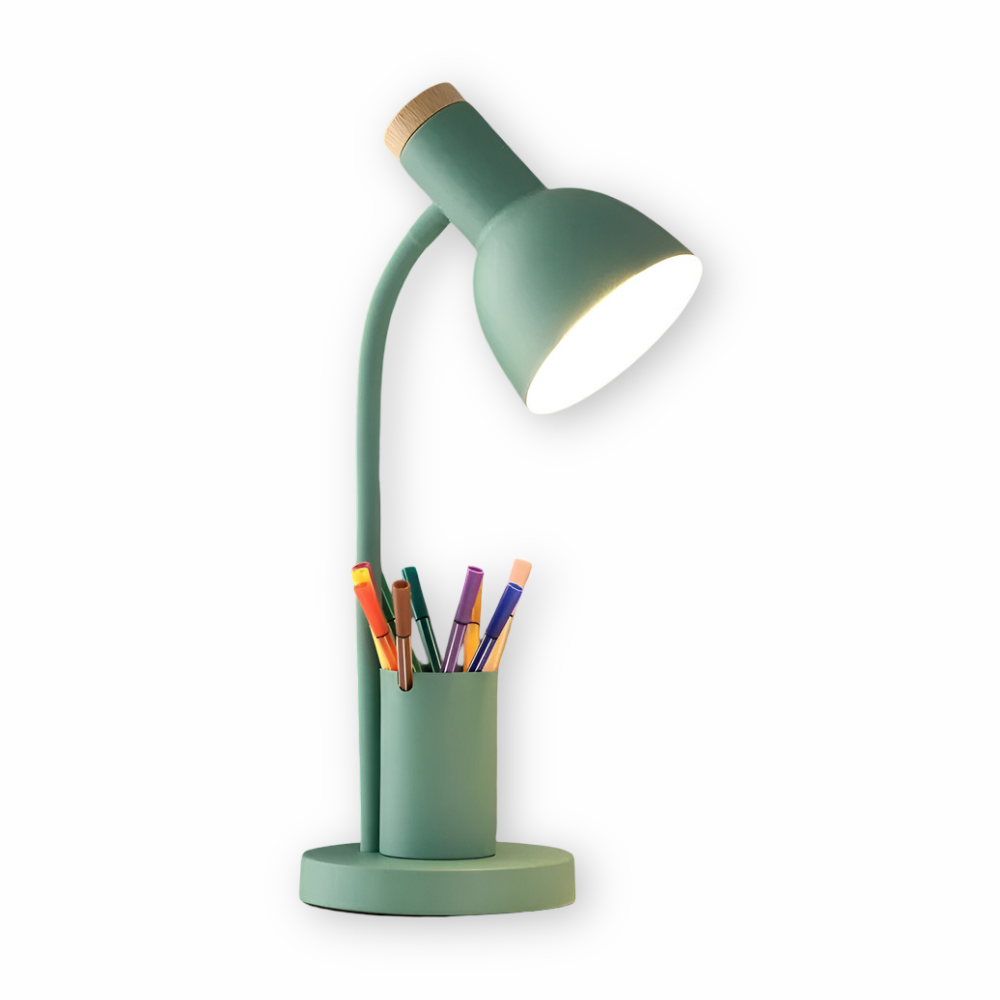 Desk lamp with storage base and flexible neck